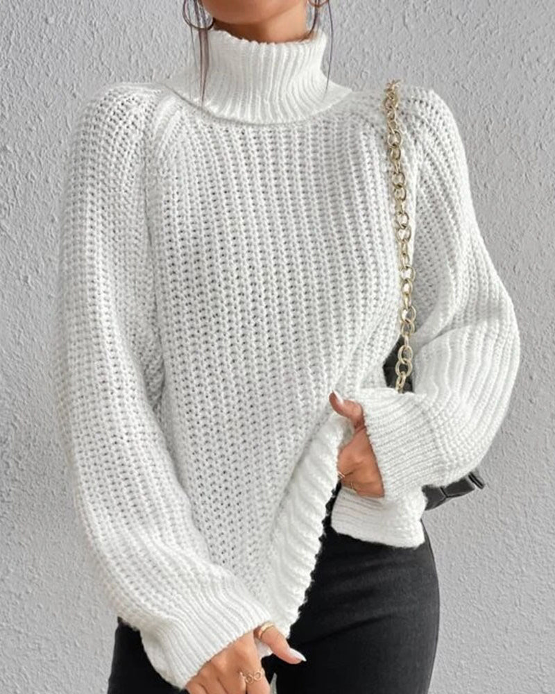 Ribbed Turtleneck Knit Sweater