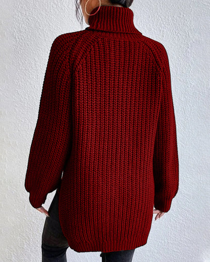 Ribbed Turtleneck Knit Sweater