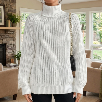 Ribbed Turtleneck Knit Sweater